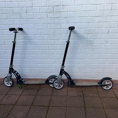 Terduinen Holiday home *