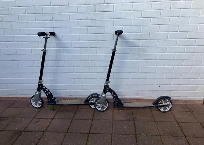 Terduinen Holiday home *